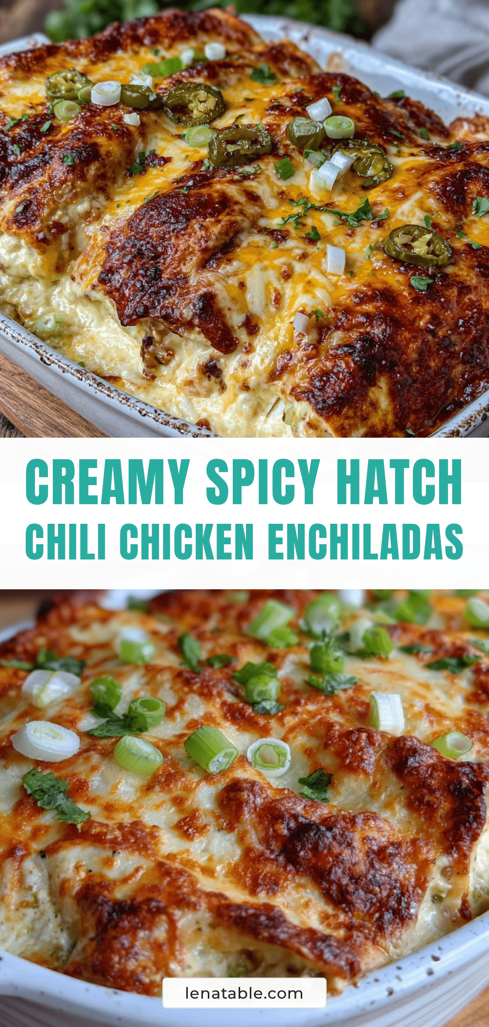 creamy hatch chili chicken enchiladas recipe