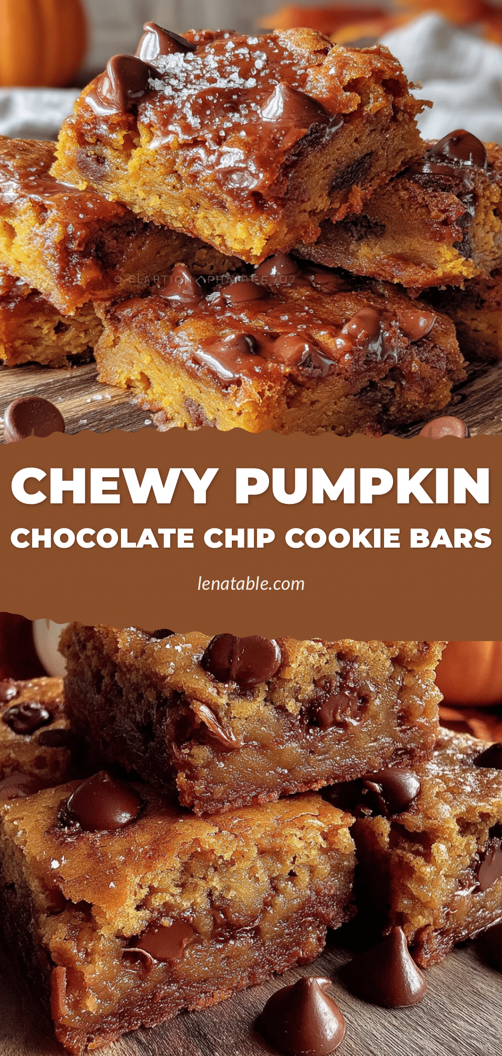 chewy pumpkin chocolate chip cookie bars recipe